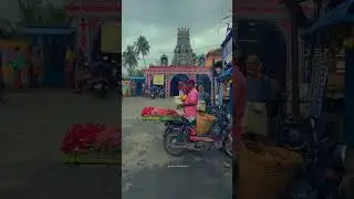 Palakkad Agraharam | Morning Vibes | Hindu Religion