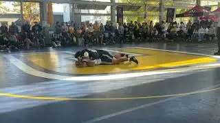 Curtis v Webster