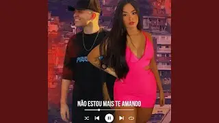 Não Estou Mais Te Amando