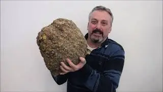 Wood Turning Burl: Removing the Bark From a Burl Wood Tree log chunk