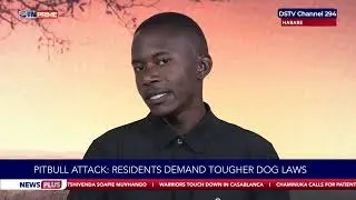 Dog owner's negligence blamed for deadly attack