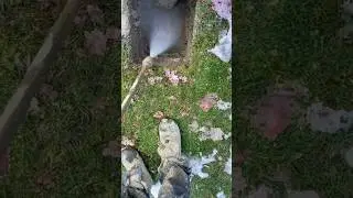 penyemprot air bertekanan tinggi