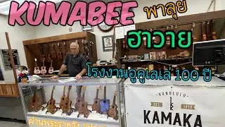 Kumabee ลุยสำนักอูคูเลเล่เก่าแก่กว่า 100 ปี ของฮาวาย Kamaka Hawaii