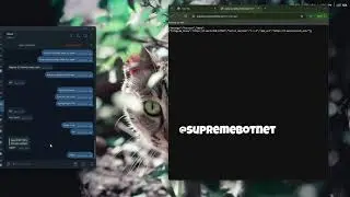 Supreme C2 VS Api | DDOS BEST C2/BOTNET/API 2025