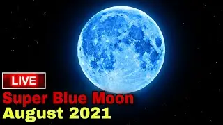[Live] Super Blue Moon August 2021!! August Blue Moon live 2021 !! Super Moon 2021! Blue Moon 2021.