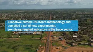 Measuring Gender Equality in Trade Statistics in Zimbabwe (UNCTAD)