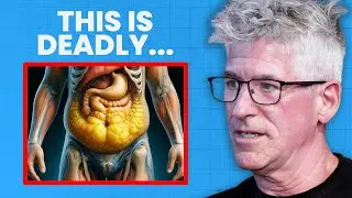 Reverse Visceral Fat to End Inflammation and Prevent Disease | Dr. Sean O'Mara