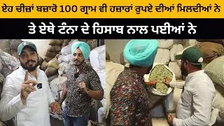ਏਹ ਚੀਜ਼ਾਂ ਬਜ਼ਾਰੋ 100 ਗ੍ਰਾਮ ਵੀ ਹਜ਼ਾਰਾਂ ਰੁਪਏ ਦੀਆਂ ਮਿਲਦੀਆਂ ਨੇ | VAID HARMAN LUGANI | Ayurvedic | Iam Hero