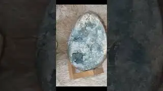 Celestite Collection #celestite #crystals #crystalstones #shortvideo #gemstone #crystalshop #shorts