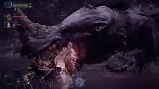 ELDEN RING NIGHTREIGN