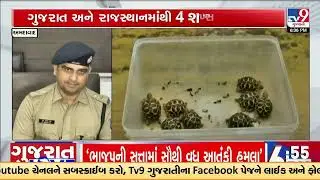Turtle Smuggling Racket Busted in Ahmedabad Four Held in Joint Operation | Gujarat | TV9Gujarati