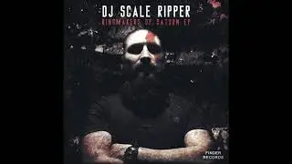 Dj Scale Ripper - Voltamatron