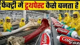 Inside The  Toothpaste Factory. Form Animals Bons full Process. 