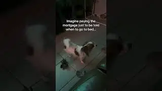 Landlord? Nah&hellip; I live with a 5lb bedtime enforcer
