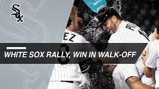 Daniel Palka wins it with a walk-off single
