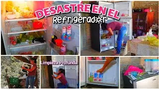LIMPIEZA PROFUNDA en el REFRIGERADOR ||Quedo como Nuevo