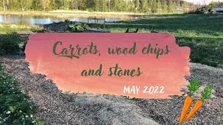 Preparing my garden for the summertime | Carrots, stone and wood chips