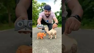 Rc Elephant Aur Remote wala Camel 🐪 ki Video 😅