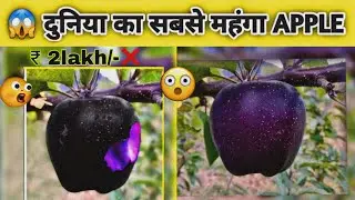 😱Duniya ka subse mehenga💸 Apple |world most expensive Apple #expensiveapple #apple #blackdimondapple