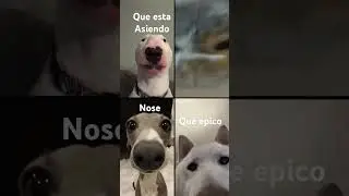 Llamda
