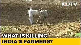 Over 12,000 Farmers Committed Suicide In 3 Years: Maharashtra Government