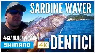 Slow Jigging con Ocea Sardine Waver - Gianluca Aramini - 4k