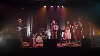 Fox and the Bird perform 