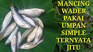 Mancing Ikan Wader di Air Terjun Kecil,Parit Tengah Sawah.