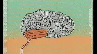 Coral - Jack Stauber