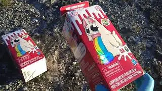 Lost Kitties! Series 3, Round 10! Special 5-Pack Labeled B!