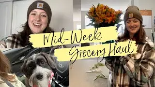 Mid-Week Grocery Haul |  Aldi & Trader Joe's