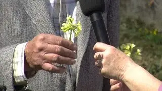 JÁN DEDÍK a liečivé bylinky Mikroregiónu Teplička