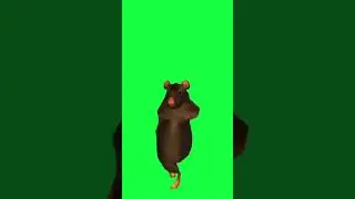 Rat dancing meme template #meme #dance #dancevideo #memes #funny #template #rat #fyp #fypyoutube