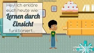 ♤ Lerntheorien | Lernen durch Einsicht | P&auml;dagogik | Wertheimer & Koffka -