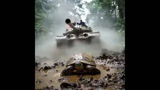 Tank-Turtle Hybrid: Ang Pinakamalakas na Fusion! 🐢💥 #youtubeshorts #pinoyai #filipinocreator