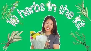 Ten herbs in the kit