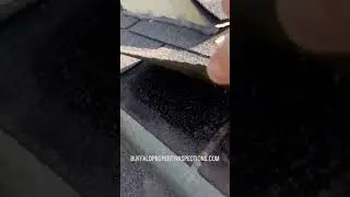 Fort Worth Home Inspector: Roof