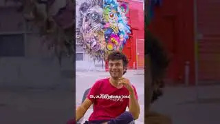 Short | Entrevue avec l'artiste Bordalo II - Interview with artist Bordalo II