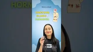 Endocrine glands & Hormones | Endocrine v/s Exocrine glands #biology #class11 #shorts #neet #study