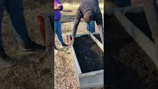 Planting onion seeds in mid January in South Carolina