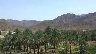 Al Bithna Oasis and Fort, UAE. 25.04.2013