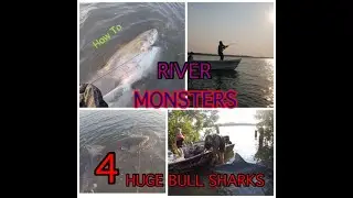 RIVER MONSTERS. Big Sharks, Small Boat