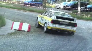 Snapphane Rallyt 2013