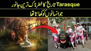 Facts About Tarasque | Reality Facts