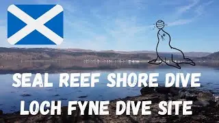 Looking For An Adventurous Shore Dive? Check Out The Seal Reef At Loch Fyne In Scotland!