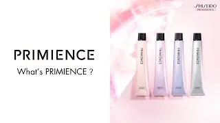 PME 01_What's PRIMIENCE?