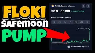 Floki Safemoon PUMP Est&aacute;s en HOLD? #FSM