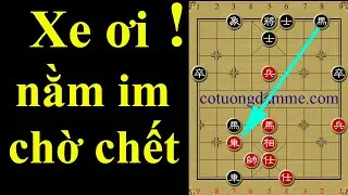Lạnh Gáy Với Bẫy Bắt Xe Quá Độc Của Một Cao Nhân - Cờ Tướng Siêu Kinh Điển