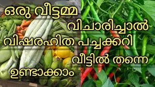 If a housewife thinks, she can make non-toxic vegetables at home || #feminasdiaries video#538