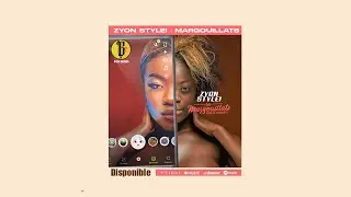 Zyon Stylei - Les Margouillats (Prod by Giskard16)